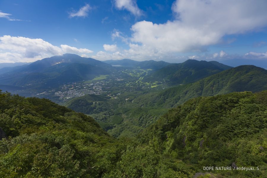 金時山に登ってきた！