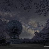 茨城県、高萩市さくら宇宙公園で桜と天の川を撮影してきた！初めての赤道義撮影が何とかうまくいきました！