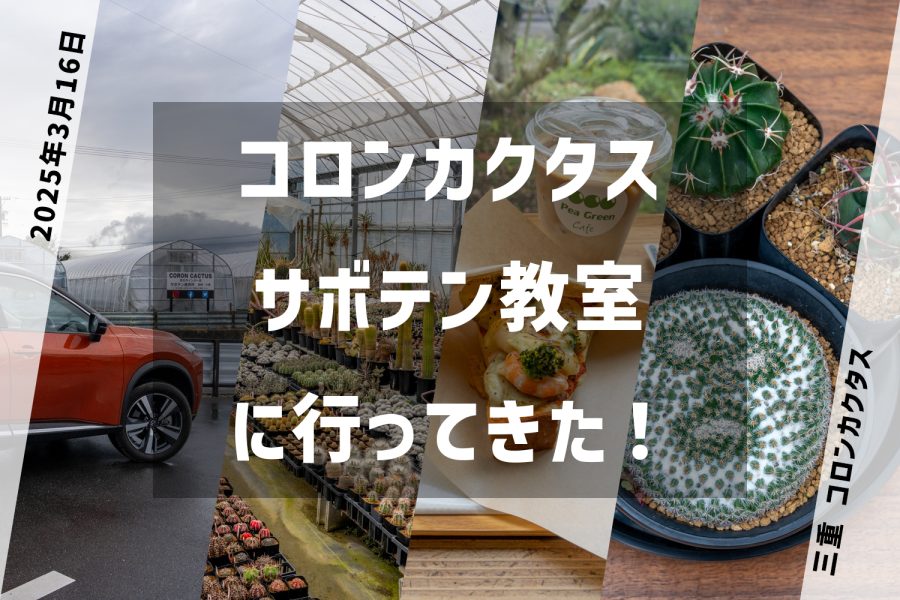 2025年3月コロンカクタス&サボテン教室に行ってきた！